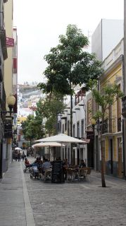 2017-Las_Palmas-Gran_Canaria-078.JPG